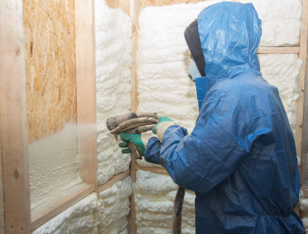 Trusted Capron, IL Insulation Experts